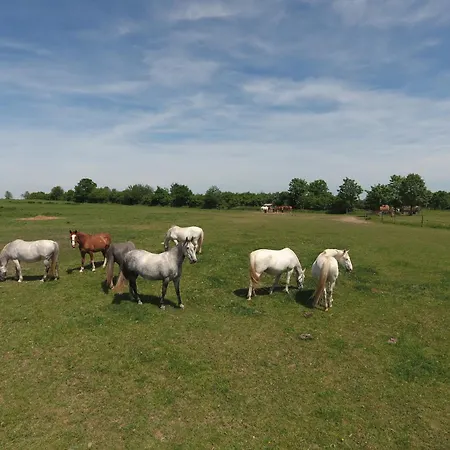 بيت ضيافة Statek Benice 3*