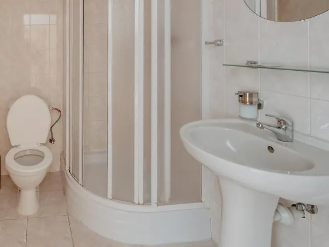 Гостевой дом Statek Benice 3*